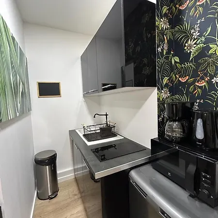 Stylish Modern Studio شقة باريس